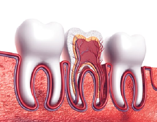 dentalartsstudio